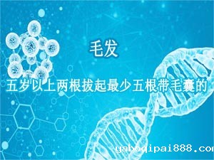 毛发样本采集