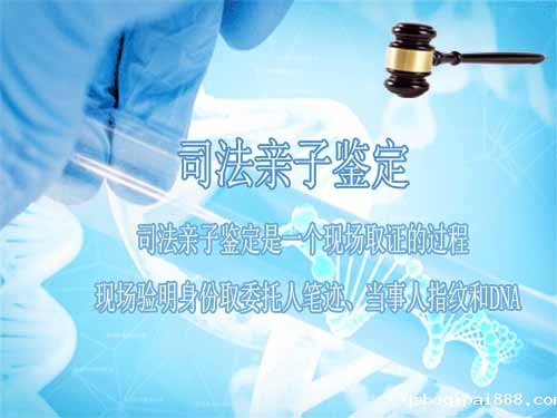司法亲子鉴定2.jpg